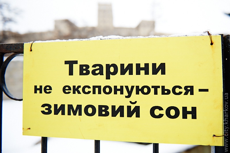 Цього року в харківському зоопарку планують побудувати Будинок жирафів