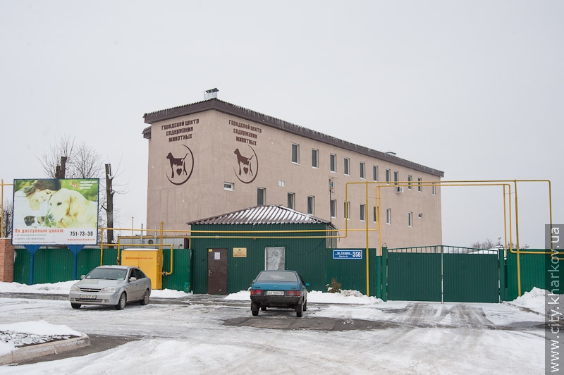 Навесні в Харкові почнуть будувати другу чергу притулку для тварин