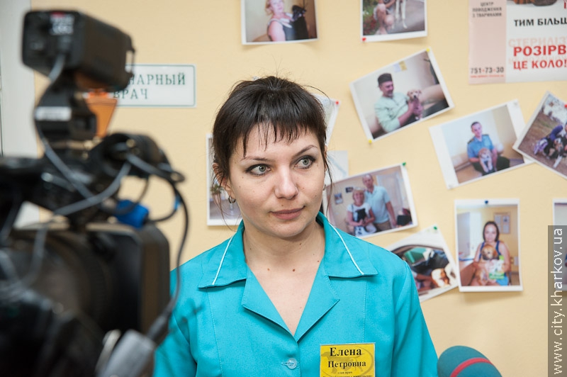 Навесні в Харкові почнуть будувати другу чергу притулку для тварин