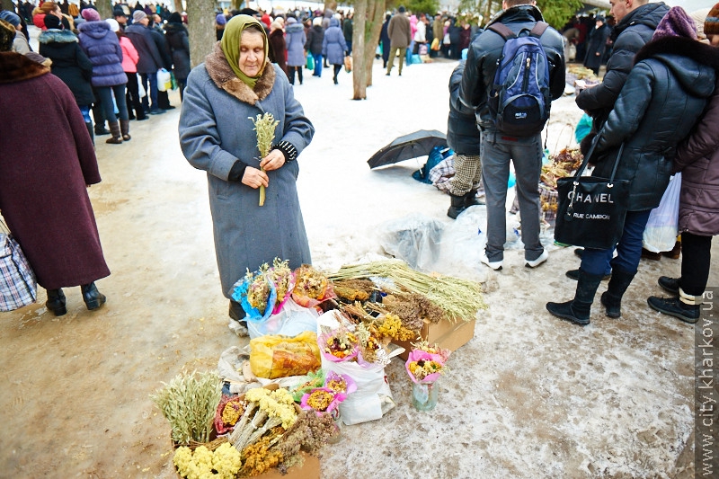 У Харкові відзначають свято Хрещення Господнього