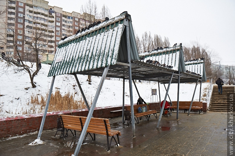 Кітлярчин яр впорядкують до Дня міста (доповнено)