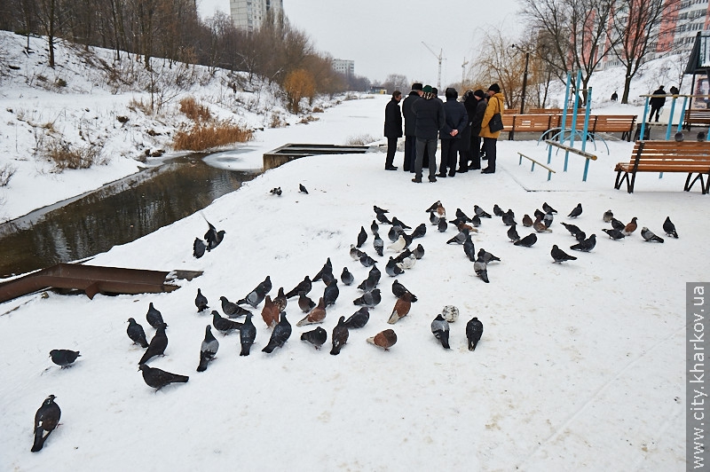 Кітлярчин яр впорядкують до Дня міста (доповнено)