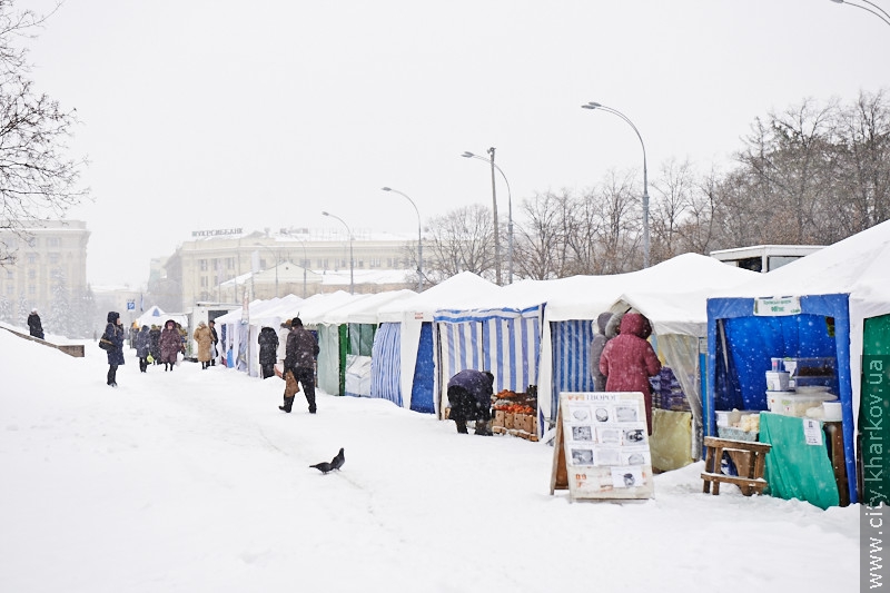 Робота ярмарку на площі Свободи продовжена до початку квітня