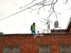За зиму харківські альпіністи отримали понад 1600 заявок на прибирання бурульок