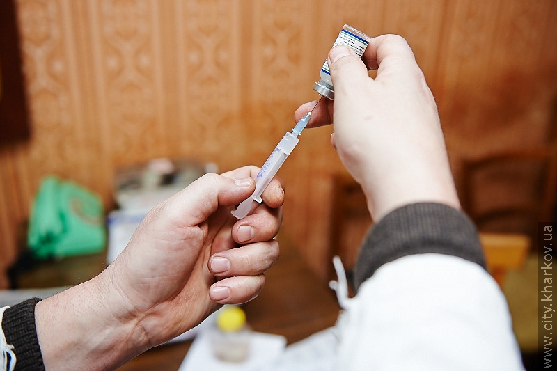 У Харкові стартувала вакцинація домашніх тварин від сказу