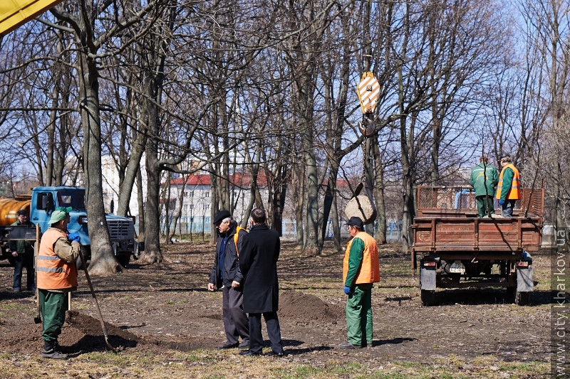 Молодіжний парк прикрашатимуть червоні дуби й липи