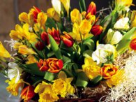 Харків'янин Афанасій Перепелиця святкує 100-річний ювілей