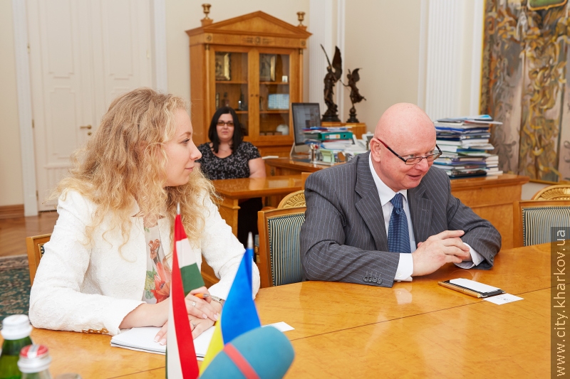 Геннадій Кернес зустрівся з послом Угорщини Міхалем Баєром