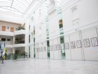У Харкові пройде виставка анімалістики