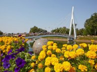 У Харкові побито квітковий рекорд Гіннесса