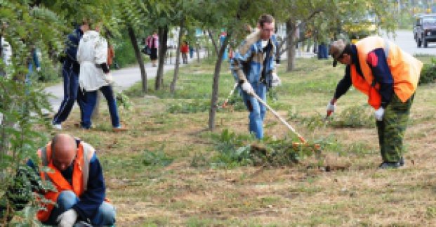 Три комунальних підприємства об'єднають в одне