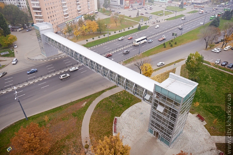 Книга рекордів України поповнилася харківським портретом Юрія Гагаріна