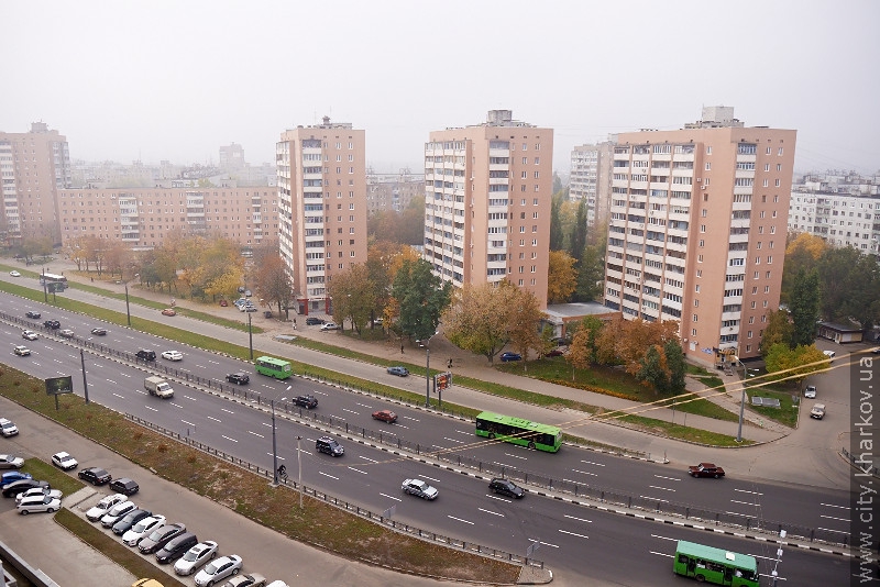 Книга рекордів України поповнилася харківським портретом Юрія Гагаріна