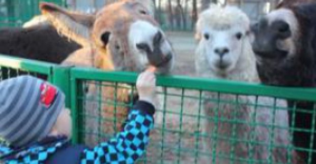 У Харкові з'явиться пансіонат для лікування дітей за унікальними методиками