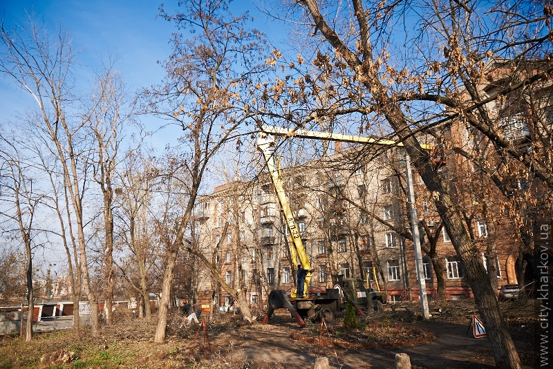На вулиці Данилевського зносять сухі дерева