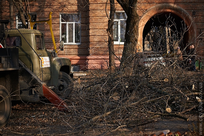 На вулиці Данилевського зносять сухі дерева