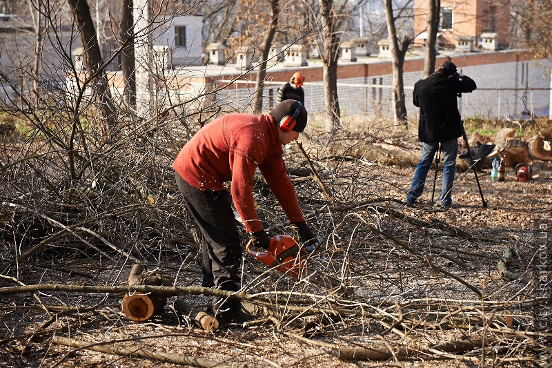 На вулиці Данилевського зносять сухі дерева
