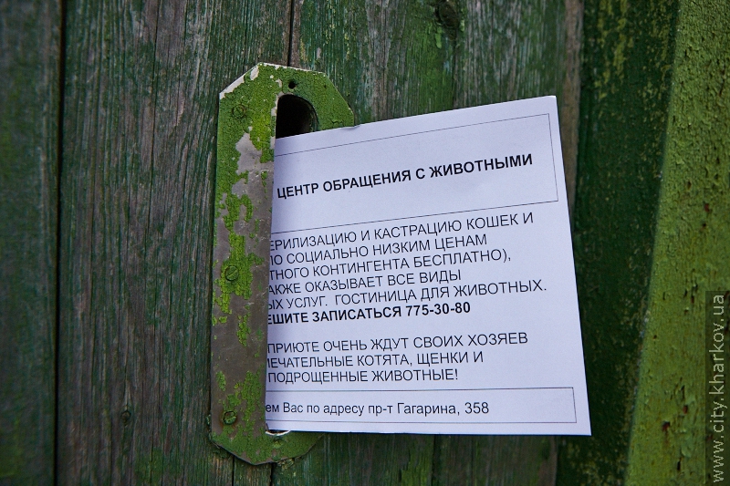 Пенсіонери зможуть стерилізувати домашніх вихованців за пільговими цінами