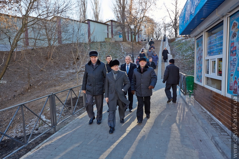 У Кітлярчиному яру - нові дерева