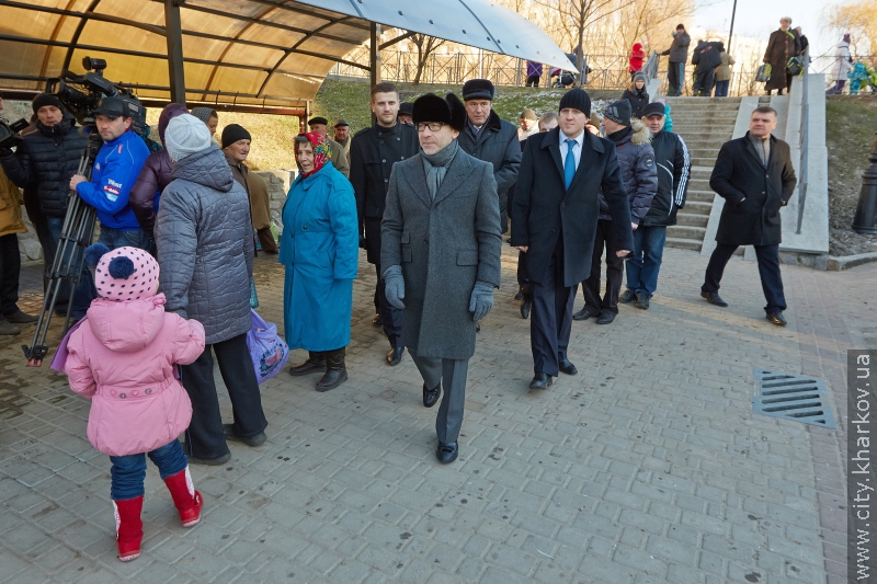 У Кітлярчиному яру - нові дерева