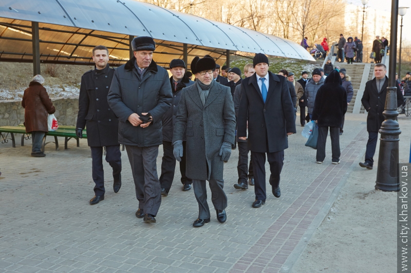 У Кітлярчиному яру - нові дерева