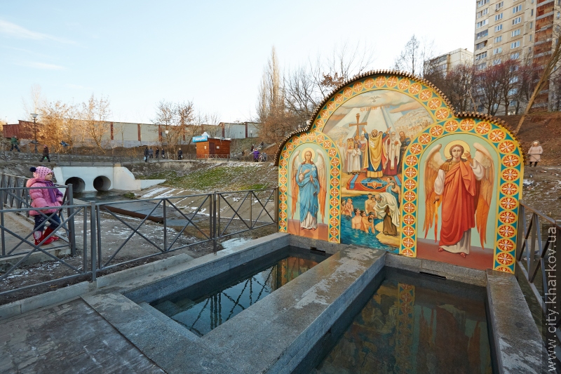 У Кітлярчиному яру - нові дерева