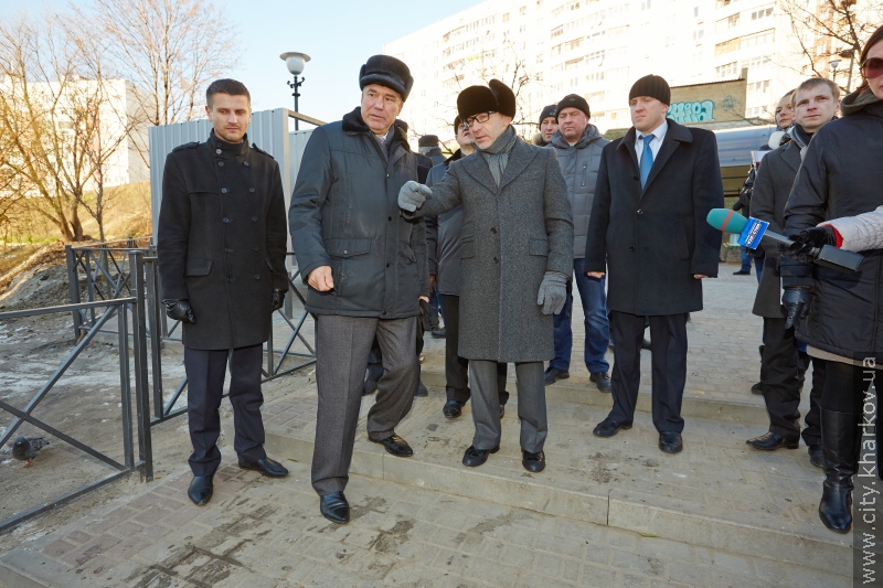 У Кітлярчиному яру - нові дерева