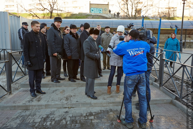 У Кітлярчиному яру - нові дерева