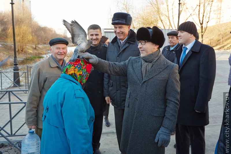 У Кітлярчиному яру - нові дерева