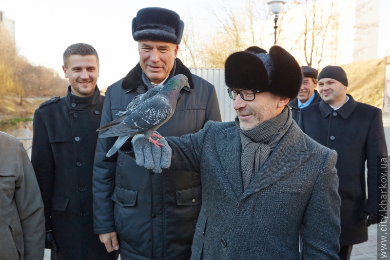 У Кітлярчиному яру - нові дерева