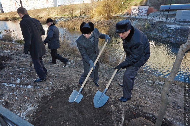 У Кітлярчиному яру - нові дерева