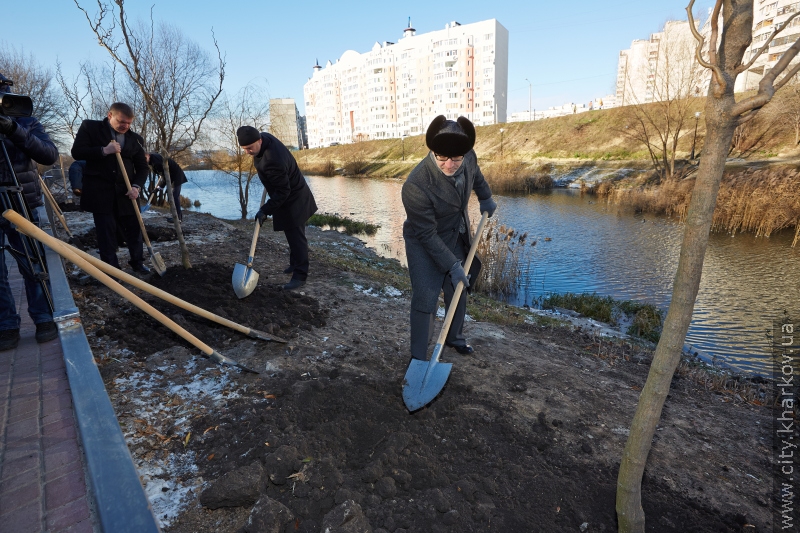 У Кітлярчиному яру - нові дерева