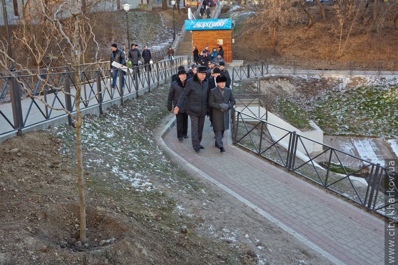 У Кітлярчиному яру - нові дерева