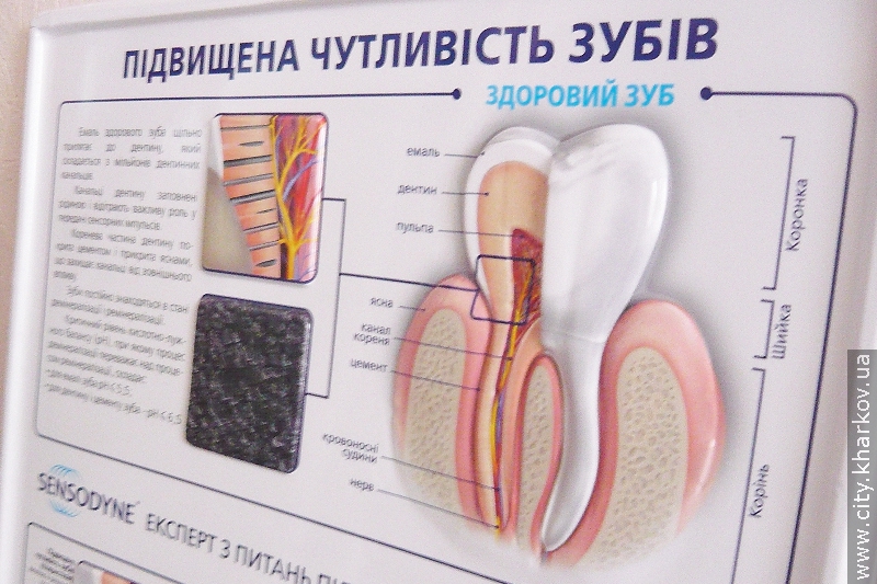 Вихованці центру «Промінь» отримуватимуть якісну стоматологічну допомогу