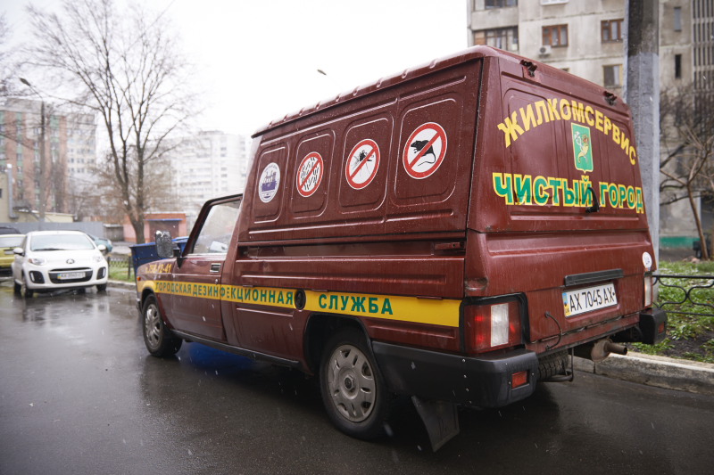Кількість гризунів у житлових будинках за останні роки звели до мінімуму