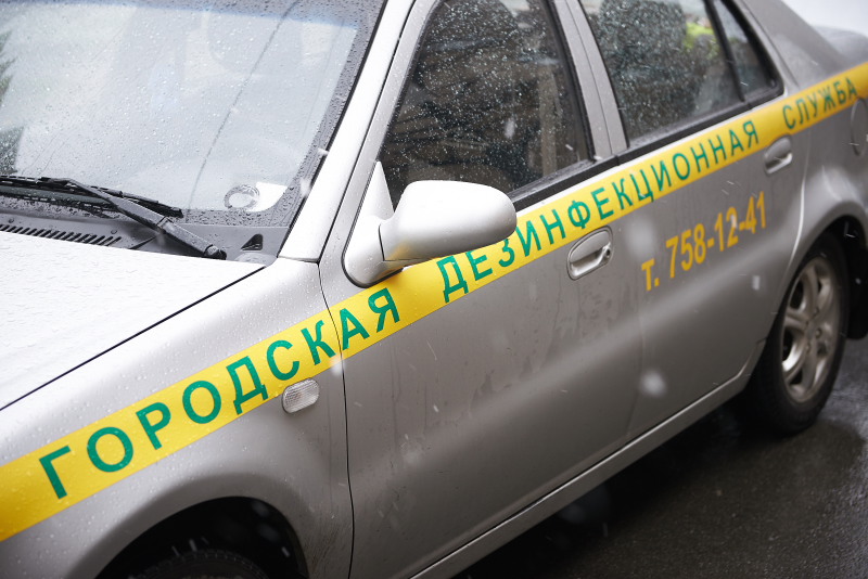 Кількість гризунів у житлових будинках за останні роки звели до мінімуму