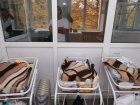 За останню добу в місті народилося 55 дітей