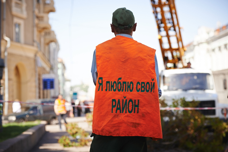 У Жовтневому районі зносять сухостійні дерева