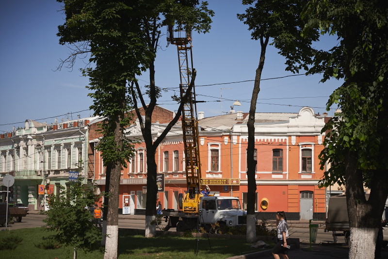 У Жовтневому районі зносять сухостійні дерева