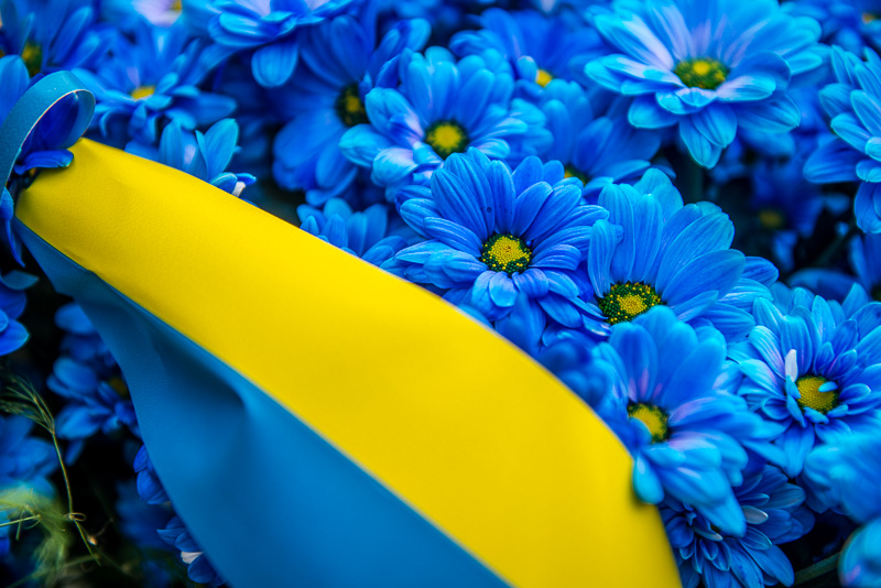 У Харкові відзначили День Конституції