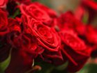 Сьогодні день народження почесного харків'янина Григорія Братчуна