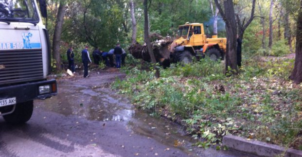 На вулиці Фонвізіна упорядковували територію
