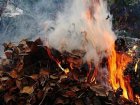 Харків'янам у жовтні виписали 30 приписів за спалювання листя