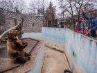 У неділю пройшла акція «Допоможемо Харківському зоопарку»