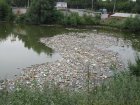 Технічне озеро в районі вулиці Морозова продовжують забруднювати