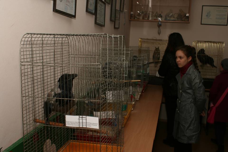 У Харківському зоопарку відбулося свято зустрічі птахів