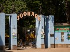 У Харківському зоопарку відзначать День слонів