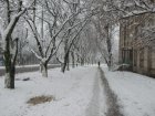Завтра в Харкові - без опадів