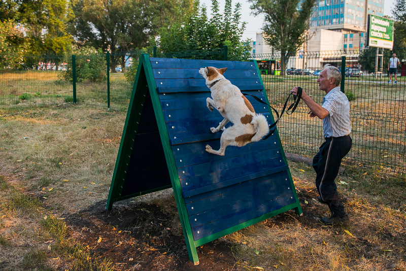 На Салтівці відкрили майданчик для вигулу собак