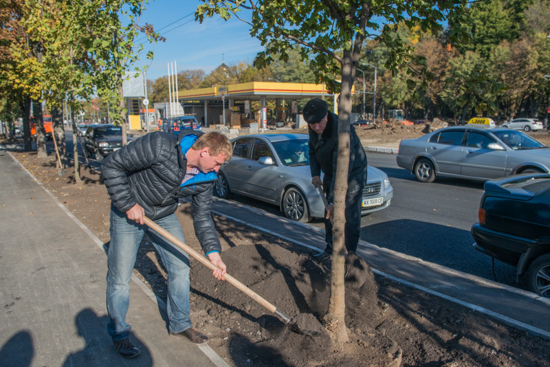 На Московському проспекті почали висадку дерев